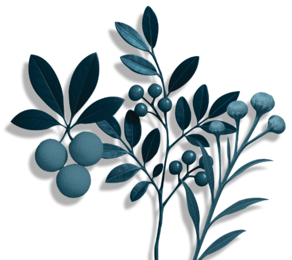 Estratto di ELicriso, Lentischio e Corbezzolo